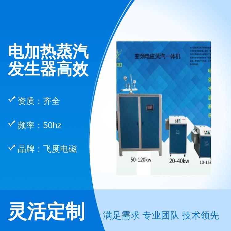 飞度电磁电加热蒸汽发生器 高效节能多重保护 13L专业靠谱服务保障