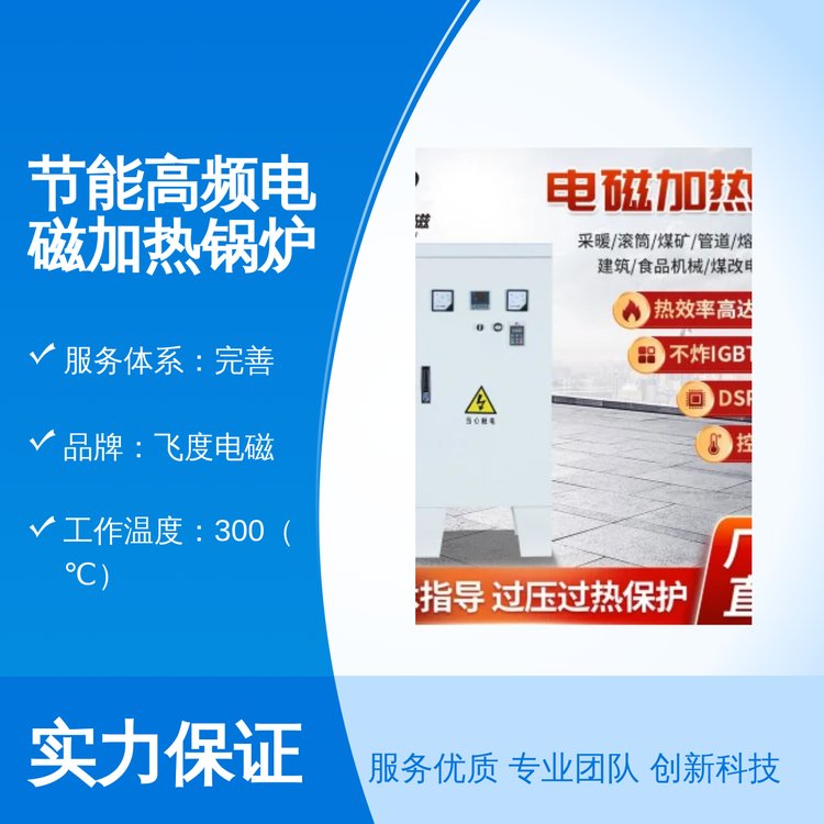 飞度电磁节能高频电磁加热锅炉过压过热保护 钢质专业服务完善保障