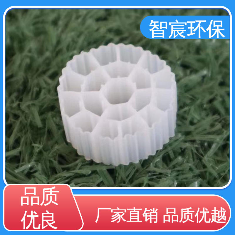 智宸 比表面积大 MBBR填料 厌氧池曝气池用 多孔活性填充料