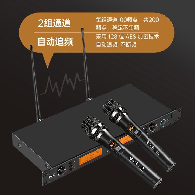 雷公王CR-890无线话筒一拖二接收器麦克风音响户外音响会议主持