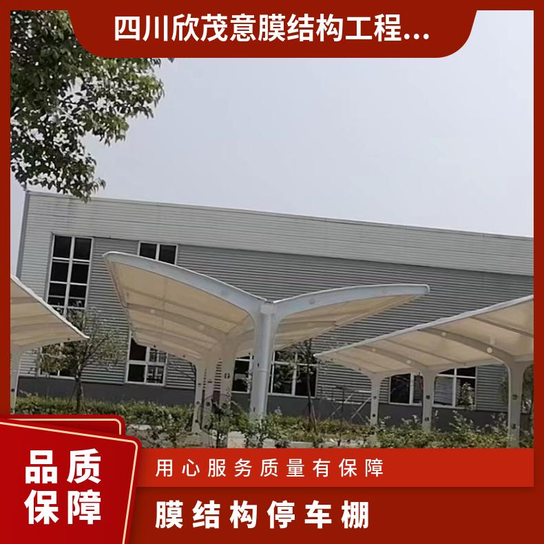 会展中心电动车张拉膜结构造价 安装简约唯美 坚实稳固 非标可创意