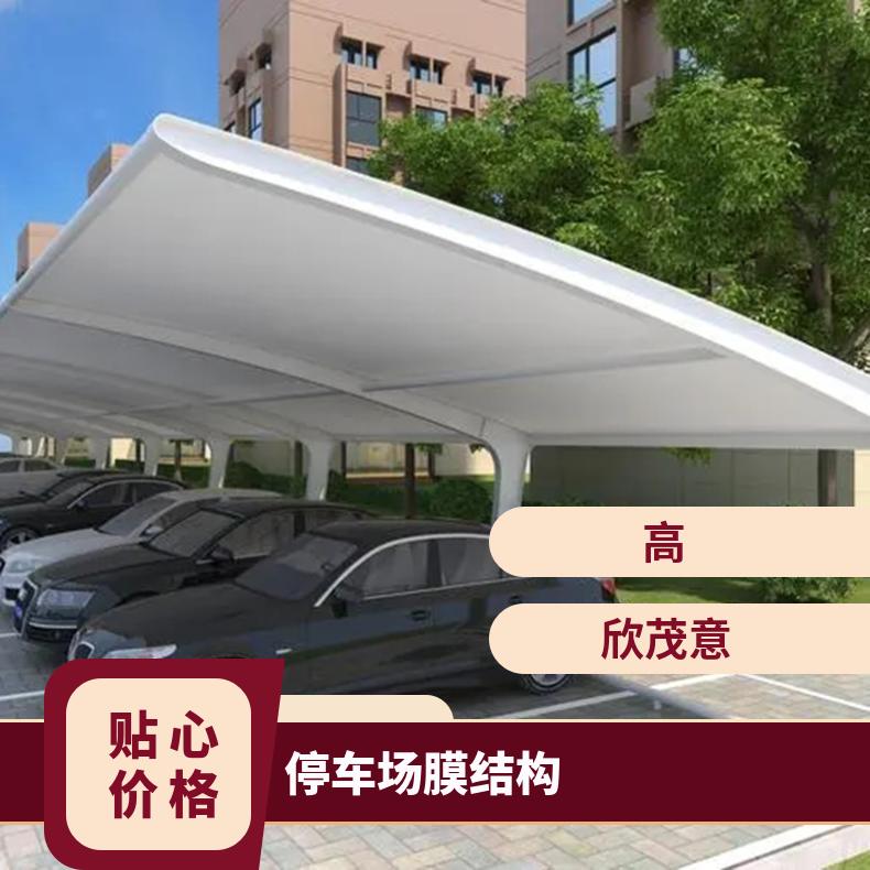 湿地公园停车场膜结构价7/七/T字型样式PVC/PVDF材质出效果图