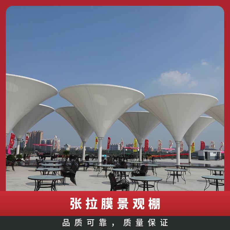 走廊张拉膜景观棚PVC膜布品种多样效果图/安装承包服务