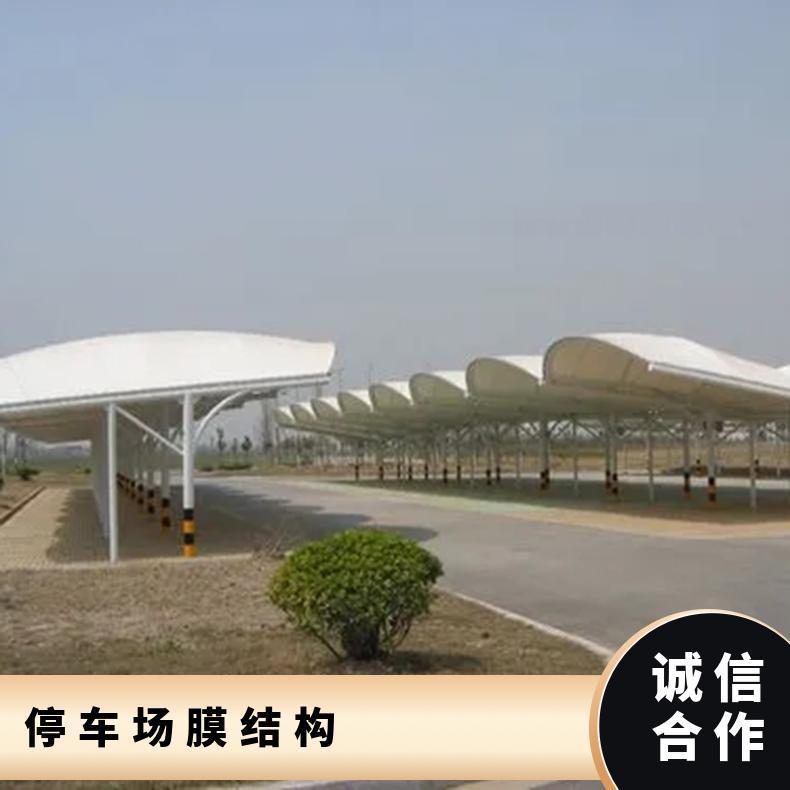 植物园停车场膜结构价明细7/七/T字形PVC/PVDF材质创意风格 可