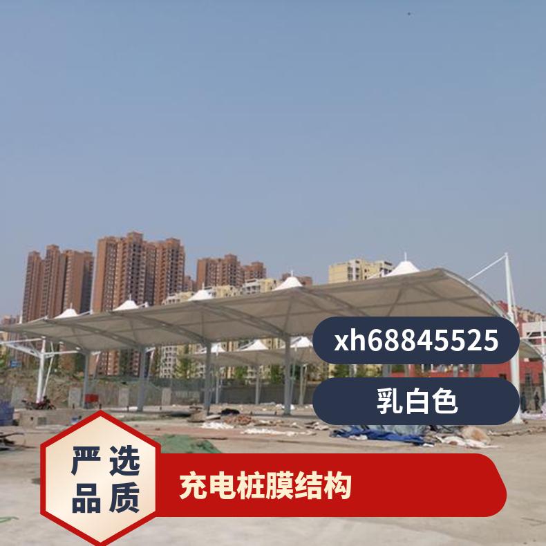 小区充电桩膜结构简约环保遮风挡雨设计/安装一体