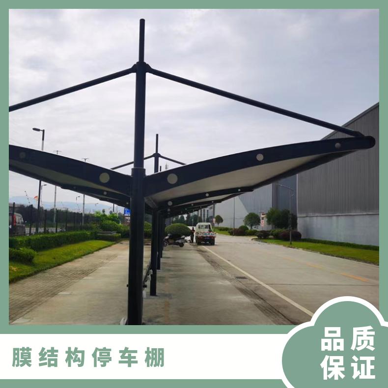 文化公园电动车车棚膜结构厂家 公司简约唯美 坚实稳固 非标可创意