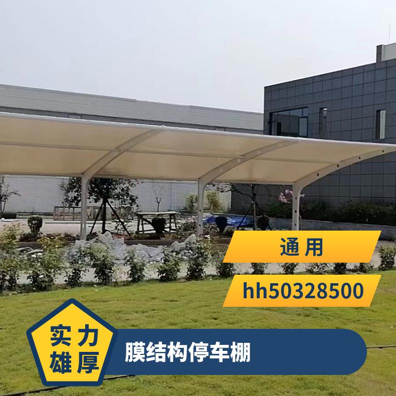 度假山庄电动车膜结构施工 方案简约唯美 坚实稳固 非标可创意