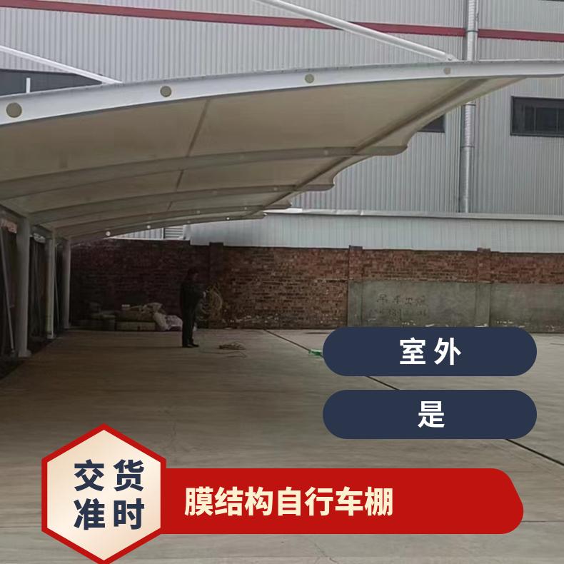 学校自行车停车棚 ETFE材质双面斜拉式工厂提供设计/安装