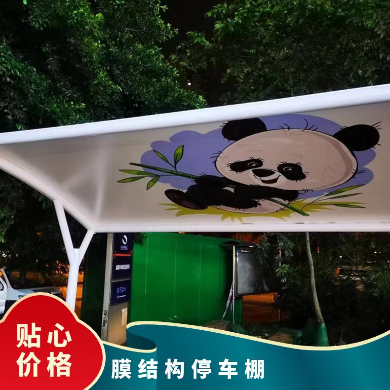 工厂电动车膜结构造价 安装简约唯美 坚实稳固 非标可创意