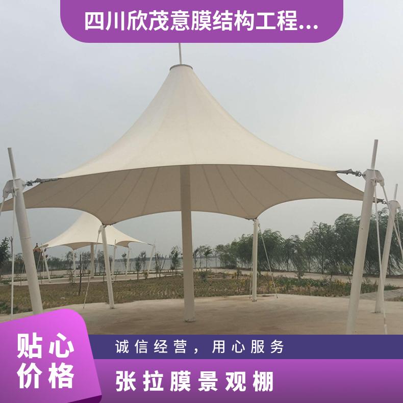 公园张拉膜景观棚PVC膜布品种多样效果图/安装承包服务