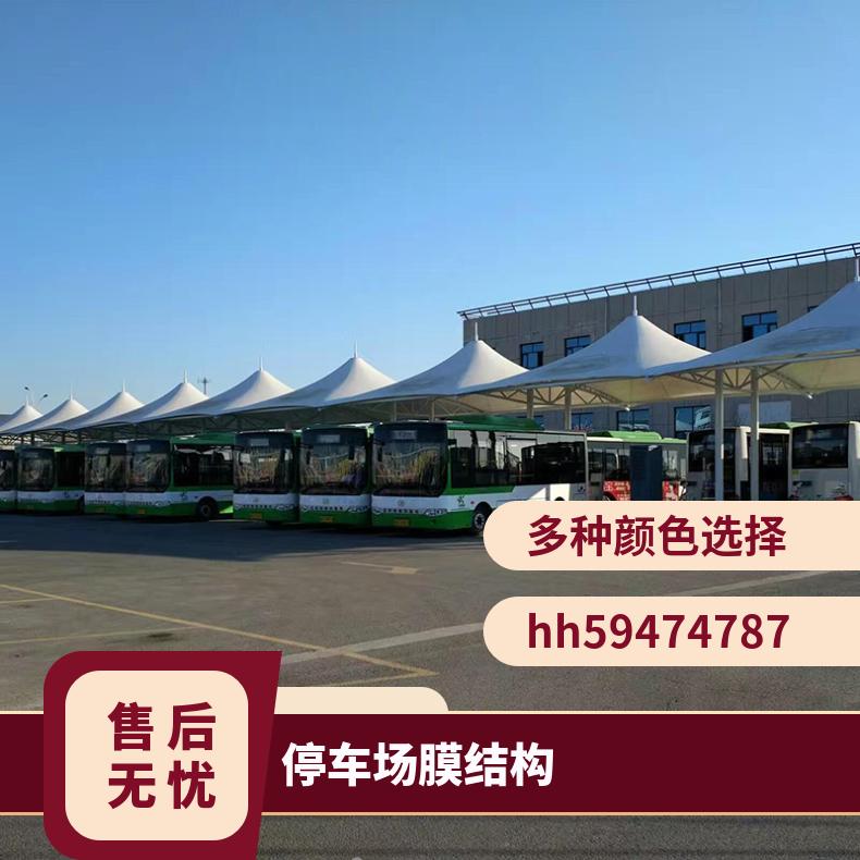 展厅停车场膜结构价7/七/T字形PVC/PVDF材质非标定制 安装施工