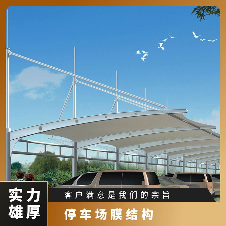 景区自行车膜结构公司7/七/T字形风格多样膜 结构