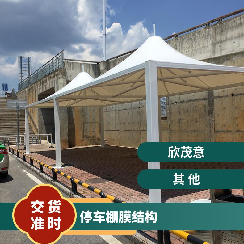 物流园自行车车棚膜结构定做 图片简约美观抗击性好 耐老化