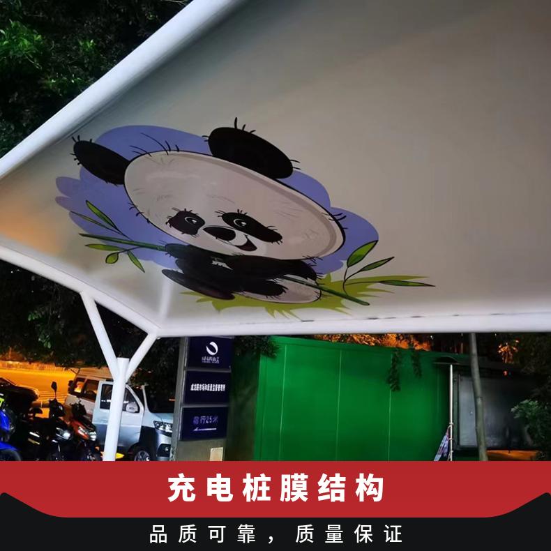 汽车T字形充电桩张拉膜结构简约环保遮风挡雨设计/安装一体