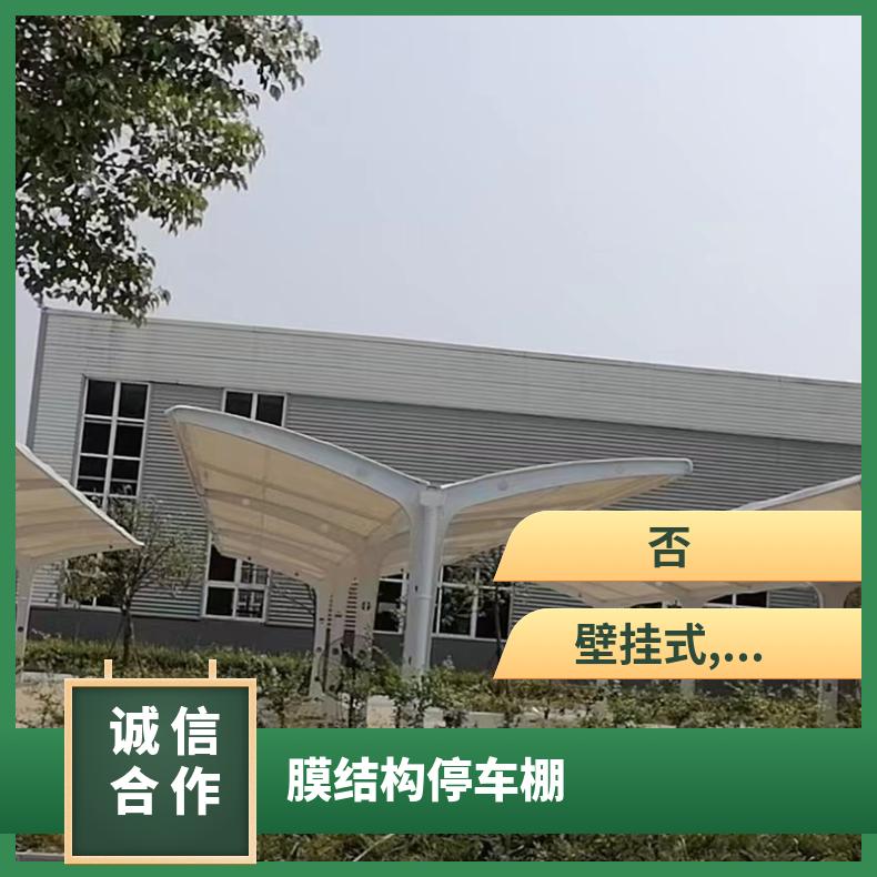 度假村电动车车棚膜结构施工 方案简约唯美 坚实稳固 非标可创意