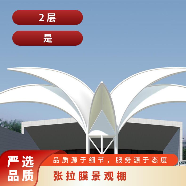 艺术公园观景棚膜结构工厂PVC膜布品种多样效果图/安装承包服务