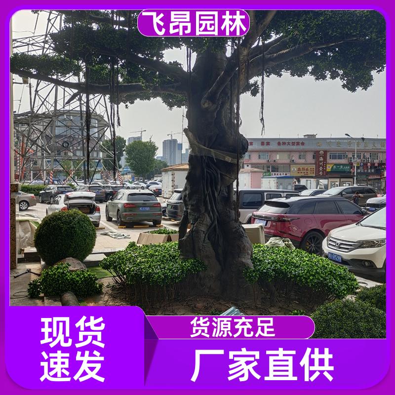 飞昂园林 造型逼真 室外仿真树 加工定制 景区装饰假绿植