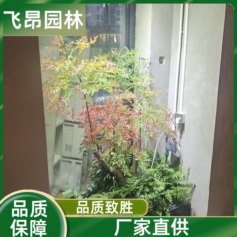飞昂园林 不需要养护 室内仿真树 来图来样定制 绿植造景假绿植