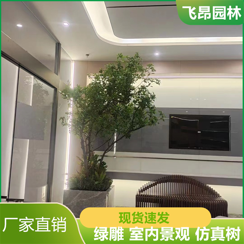 庭院落地绿植物 室内绿雕 枝繁叶茂 上门安装 飞昂园林