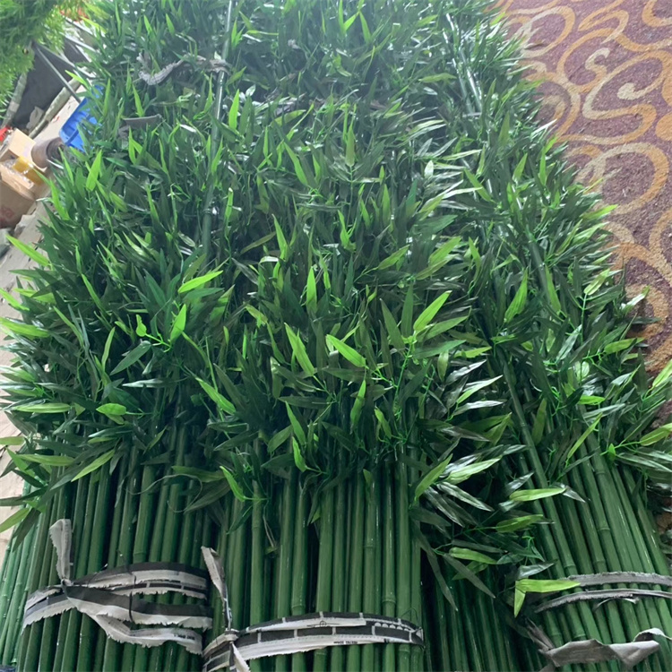 飞昂 酒店装饰竹子 植物盆栽商场客厅造景用细毛竹 庭院隔断挡墙