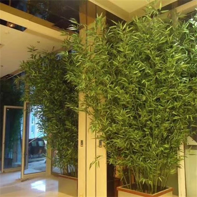 飞昂 假竹子客厅隔断室内造景观植物 室外装饰仿生紫竹绿植挡墙