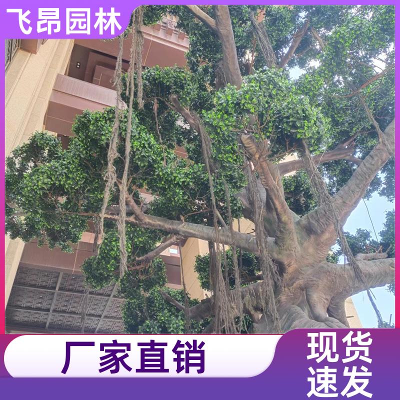 绿意盎然 室外仿真树 支持上门安装制作 手工假树造景 飞昂园林