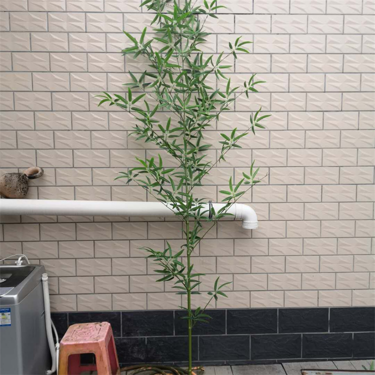 园林景观工程酒店室内装饰摆放仿真竹子加粗竹竿 飞昂定制紫竹