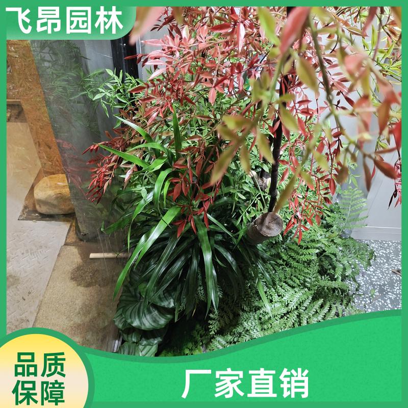 飞昂园林 多姿优美 室内仿真树 支持上门安装制作 手工假树造景