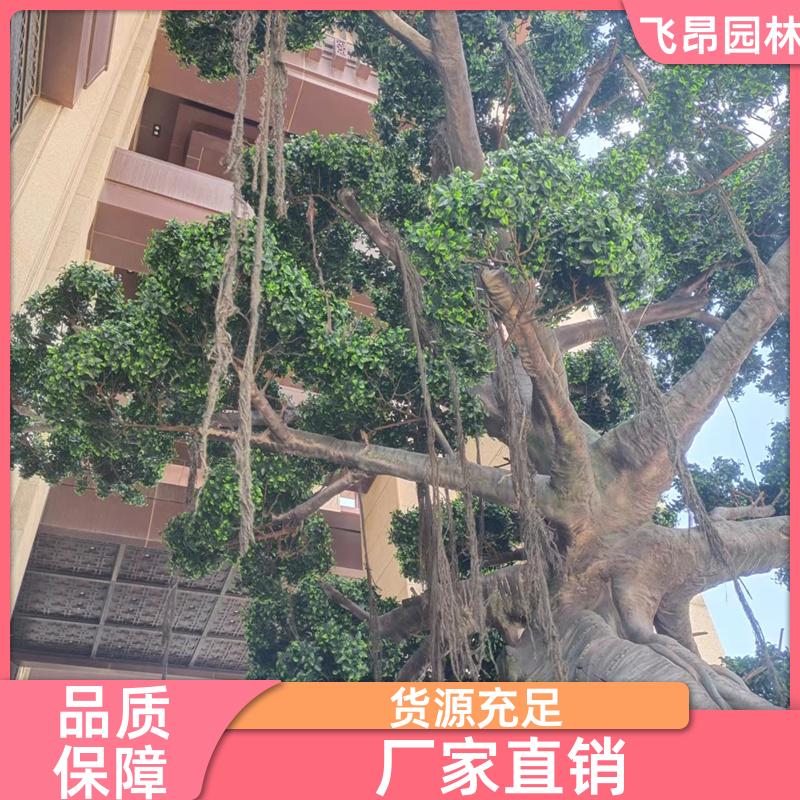绿意盎然 室外仿真树 支持非标定制 手工假树造景 飞昂园林