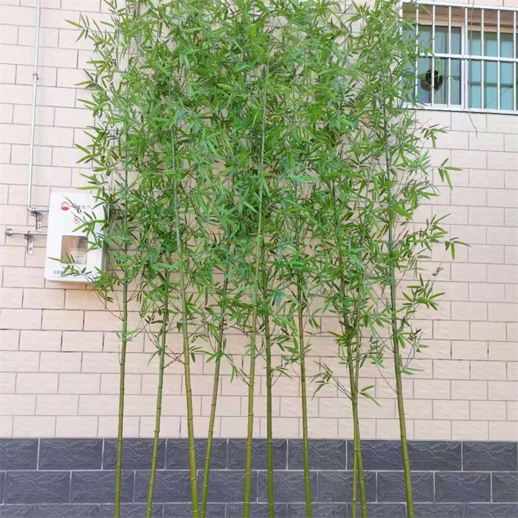 飞昂 仿真竹子盆栽迷你竹 4米富贵竹盆景 6.5 米假毛竹定制