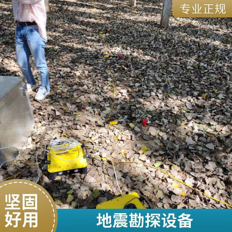 德国DMT 高分辨地震仪(浅震仪) 多波高密映像 灵活、友好、功能强大
