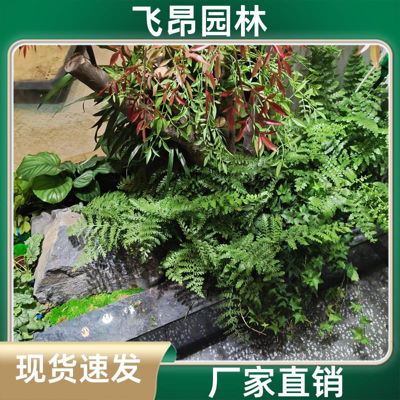 飞昂园林 不需要养护 室内仿真树 支持定制 绿植造景假绿植