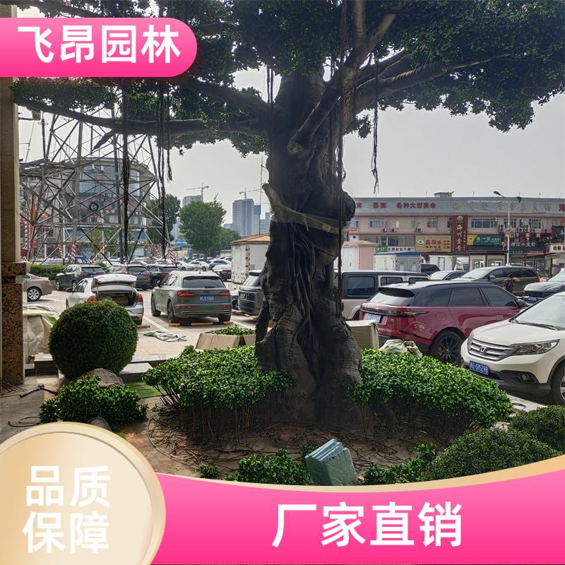 飞昂园林 多姿优美 室外仿真树 可来图来样定制 景区装饰假绿植