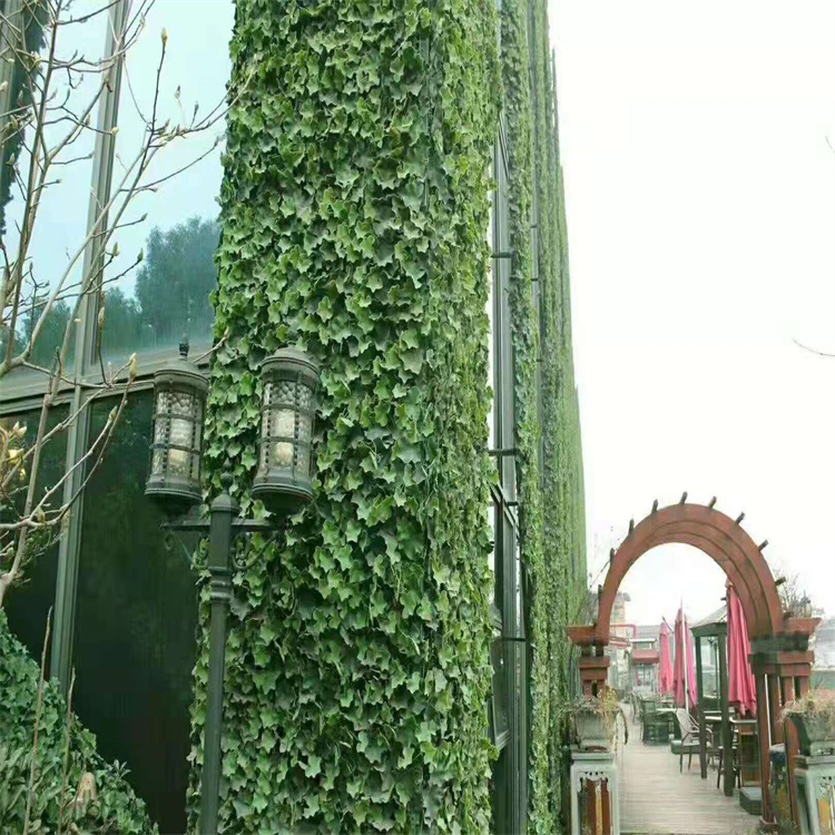 飞昂 背景墙加密塑料草坪绿植墙 装饰景观墙 仿真植物墙
