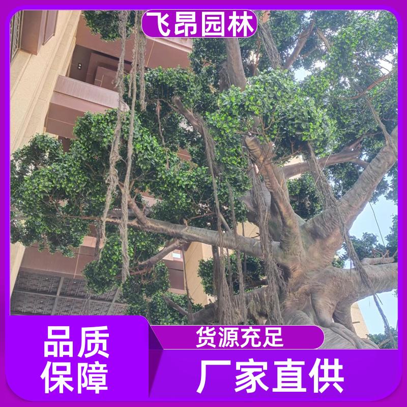 飞昂园林 效果持久 室外仿真树 支持定做 大型装饰摆件