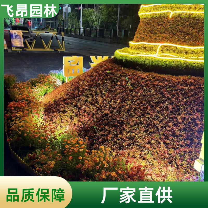 飞昂园林 绿雕 苔藓造景 仿真南天竺 效果持久 来图加工
