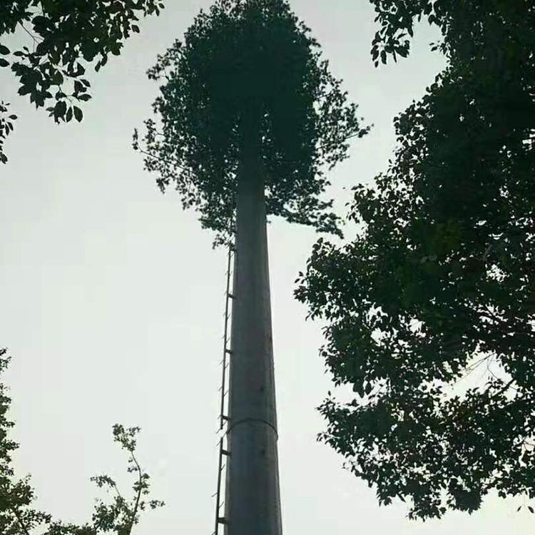 兆宇供应定制zy 仿生树信号塔 通讯塔 监控树制作 规格齐全