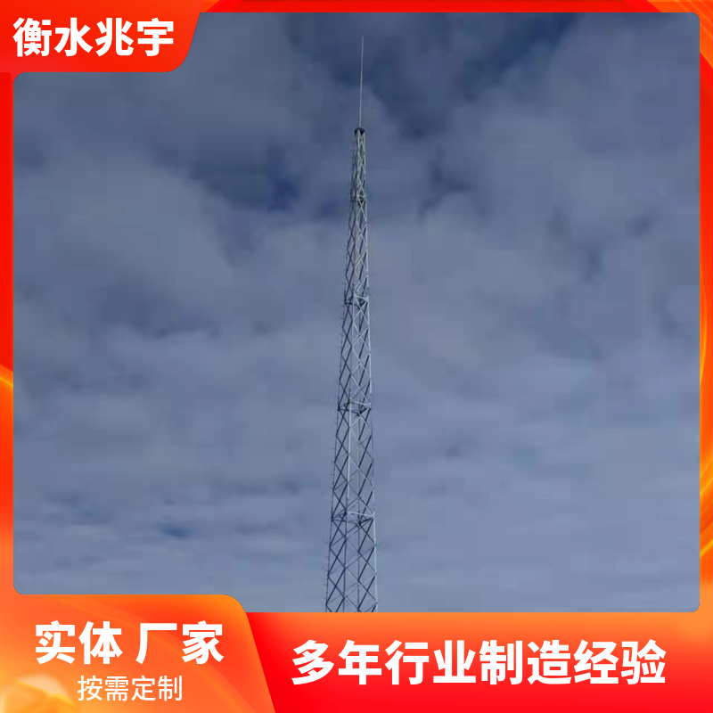 角 钢避雷针塔 角钢避雷塔 接闪塔角 钢独立防雷 避雷线塔