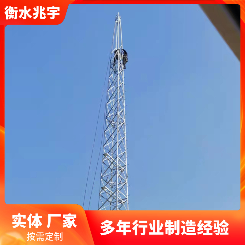 防雷接闪器钢结构避雷塔兆宇高处避雷装置避雷铁塔