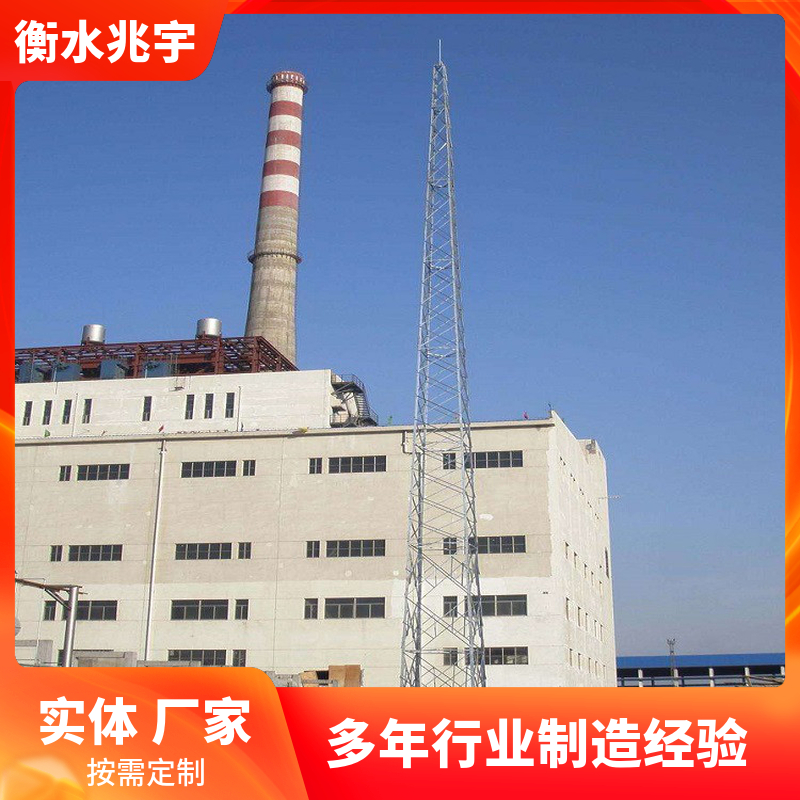 厂家加工钢结构电力构架 建筑物避雷针接闪器 避雷塔