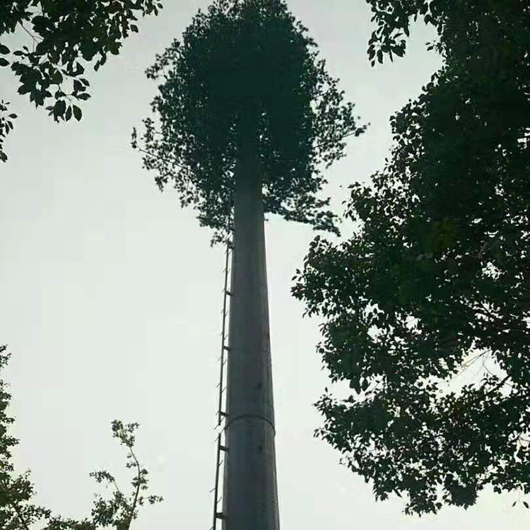 美化景观仿生树 通信仿生信号塔 信号基站仿生树塔 钢结构厂家