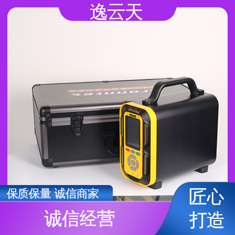 手提式苯乙烯气体分析仪（PID）PTM600-C8H8 智能检测 量程可定制