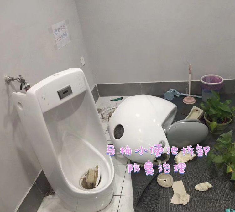 除臭除异味 厕所环境空气净化化粪池除味消臭 福康乐