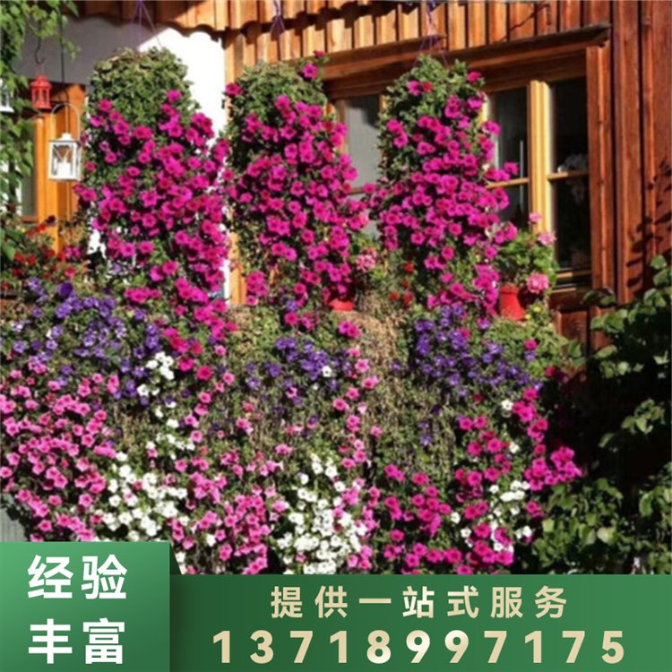 市政园林绿化 景观工程服务清洁水景绿地养护 福康乐