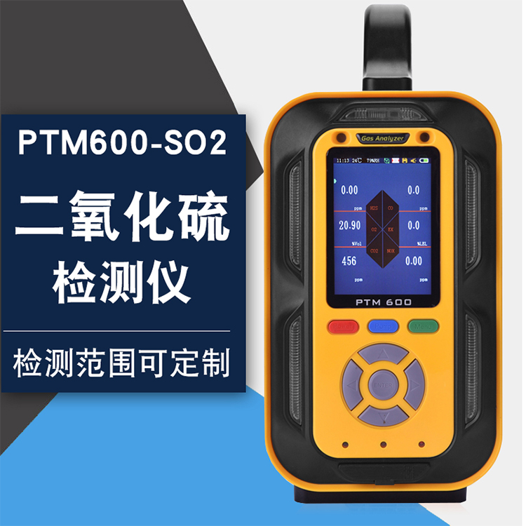 二氧化硫气体分析仪 气体检测仪 化工厂SO2泄漏监测报警浓度仪器