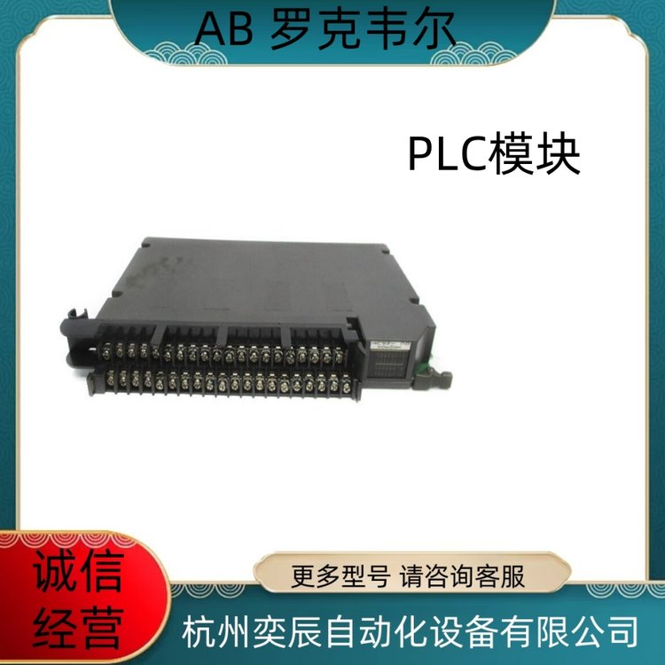 AB罗克韦尔PLC 1794系列 1794-OE12 数字输入模块 原装