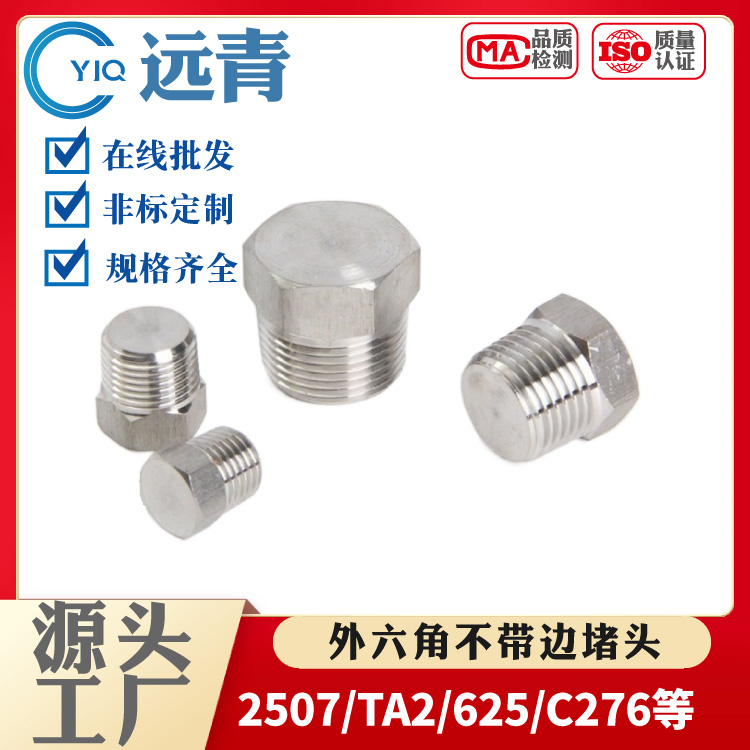 定制双相不锈钢2205/2507外六角堵头丝堵六角油塞闷头螺塞PT/NPT