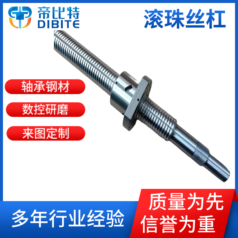 滚珠丝杠副SFE2020252532324040螺母按图纸加工定做正反牙丝杆