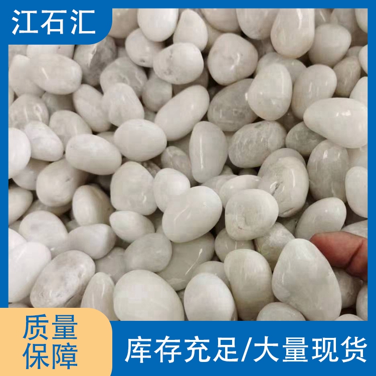 一级白色鹅卵石 园林造景庭院装饰用白石子 现货充足 江石汇a035