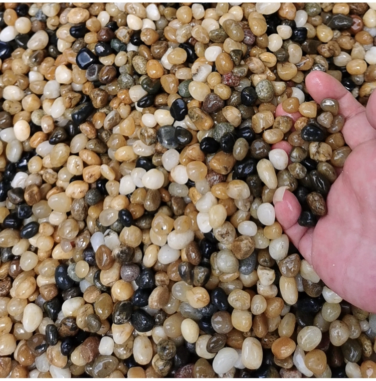 彩色精品鹅卵石 污水处理垫层用3-6mm雨花石 厂家直供 江石汇Z002